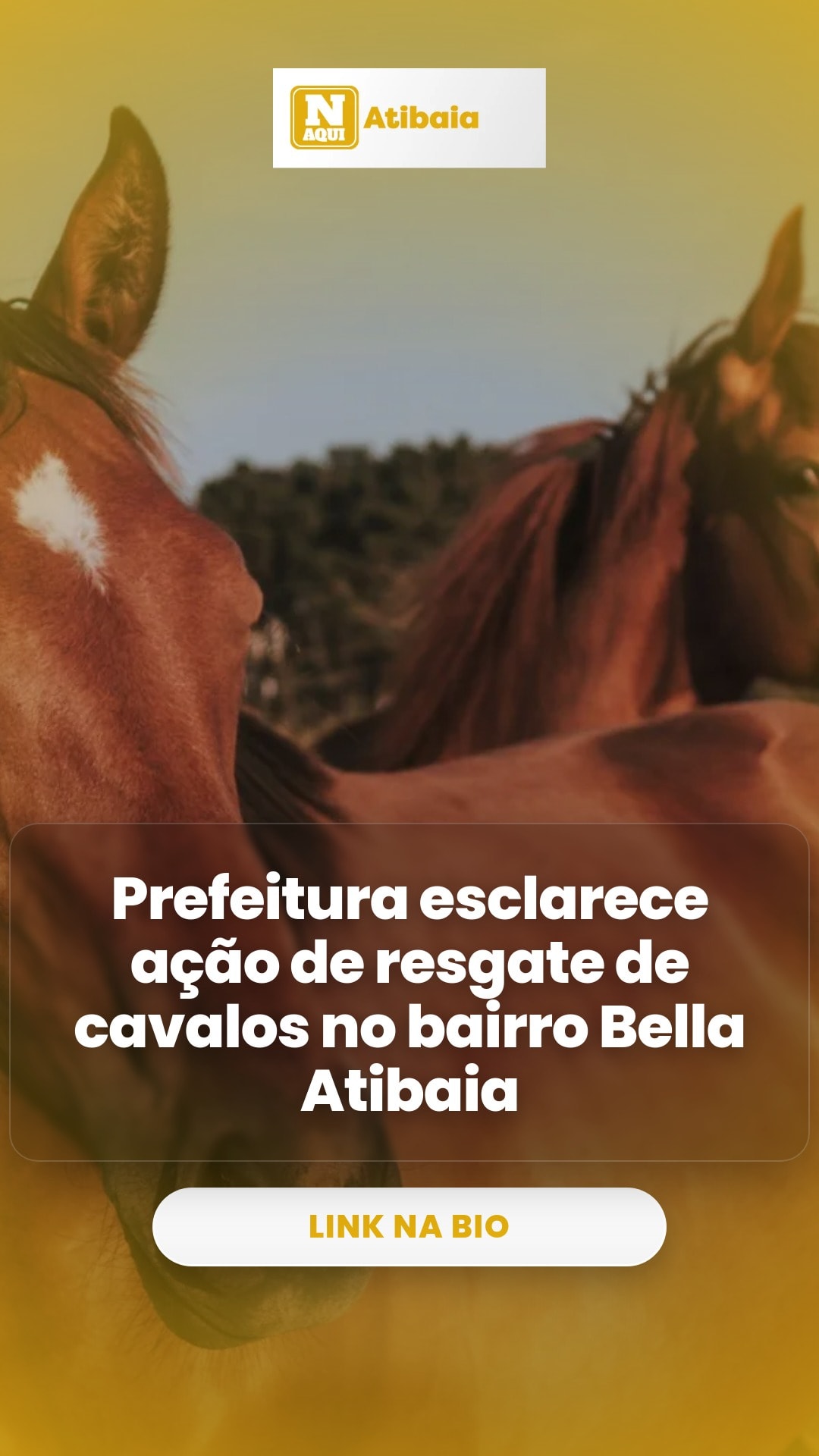 cliente_1-1777469569495.jpg