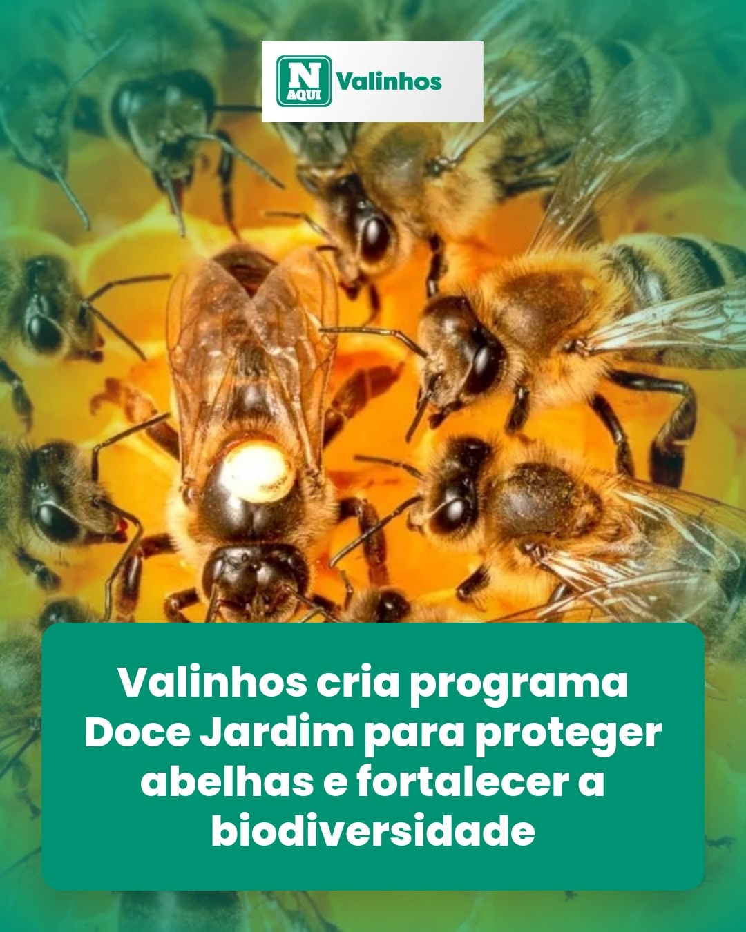 cliente_1-1777848930683.jpg