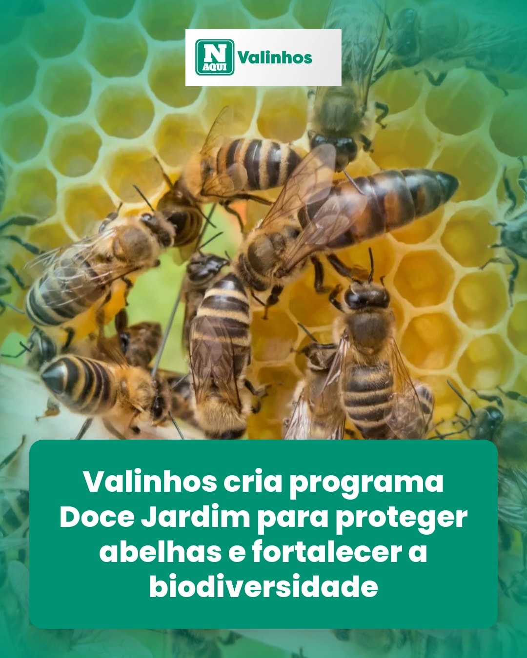 cliente_1-1777851151035.jpg