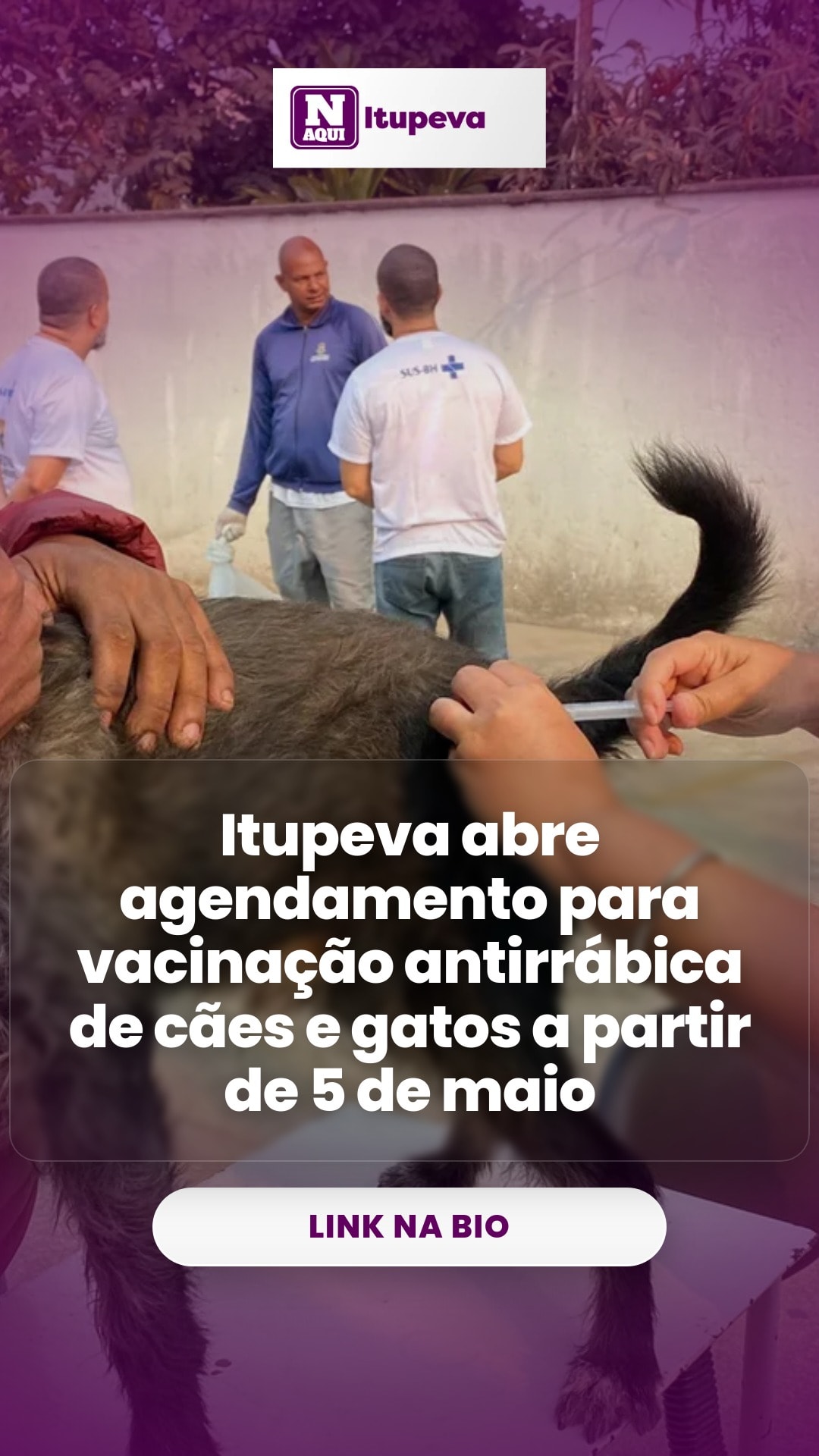 cliente_1-1777991336381.jpg
