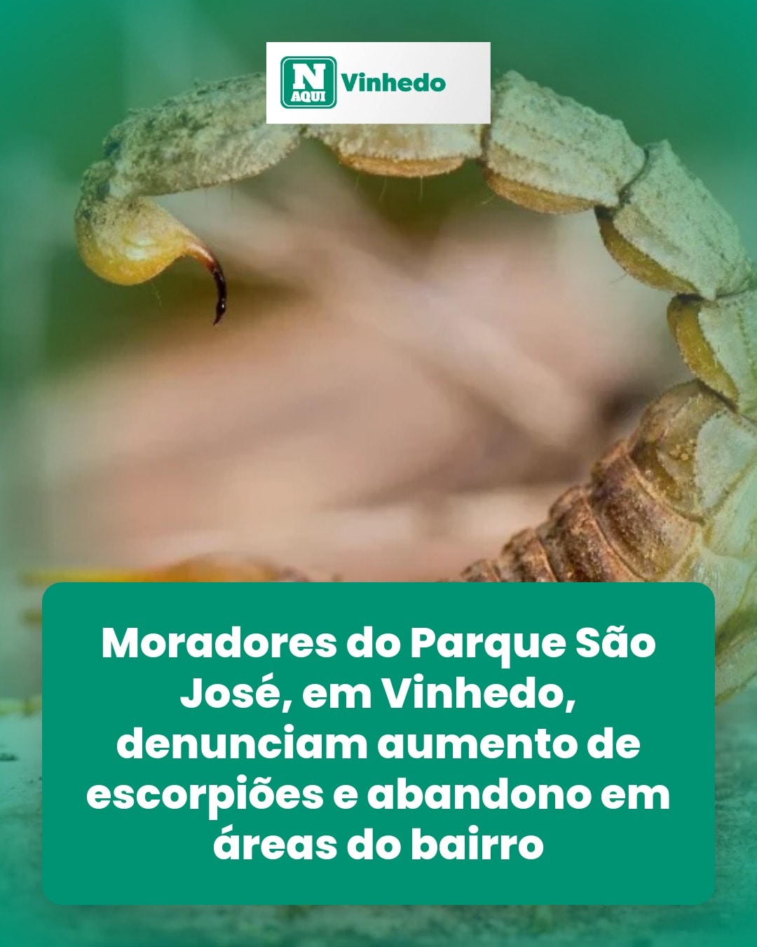 cliente_1-1778002778544.jpg