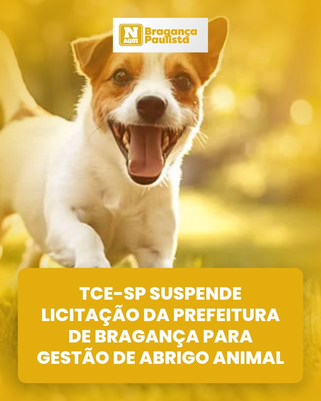cliente_1-1778074119891.jpg