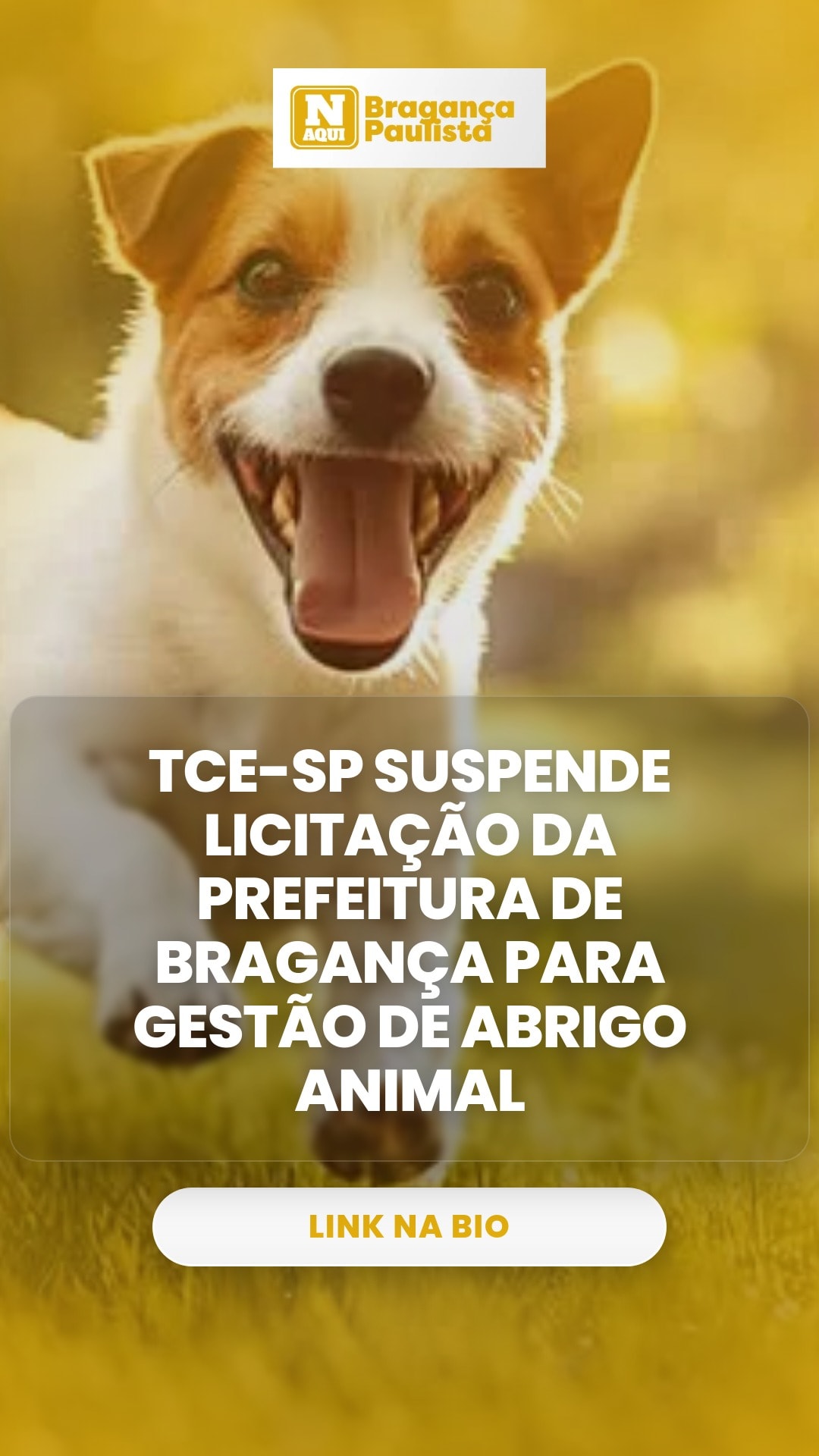 cliente_1-1778074139020.jpg