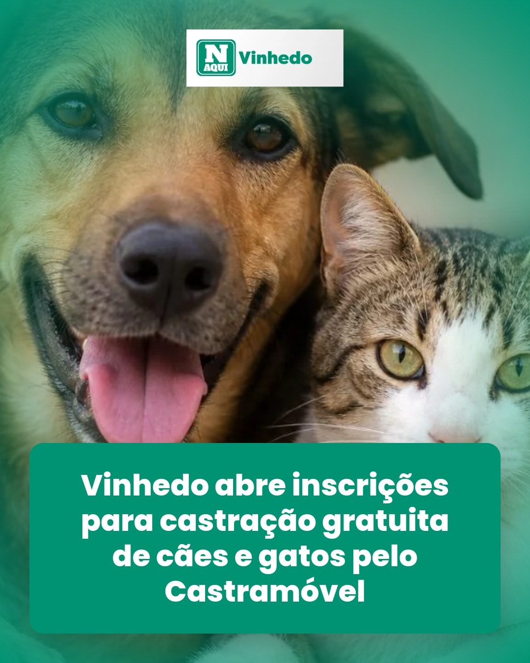 cliente_1-1778167662989.jpg