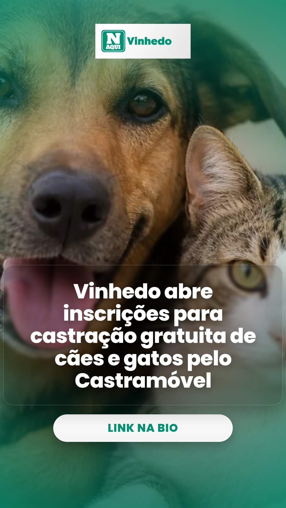 cliente_1-1778167684662.jpg