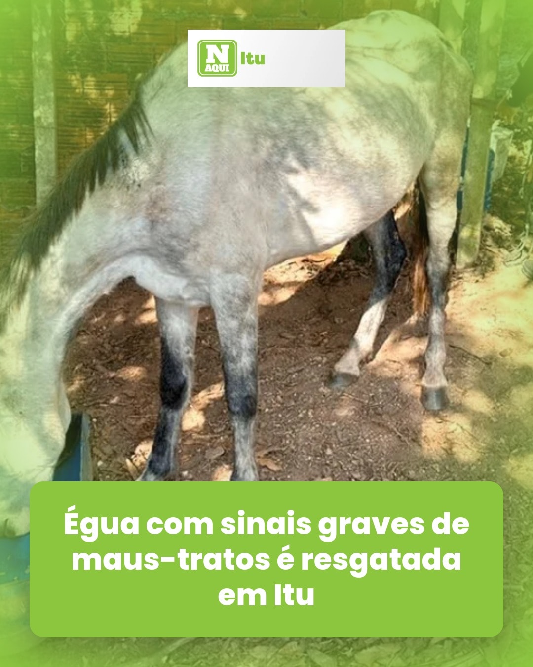 cliente_1-1778180130548.jpg