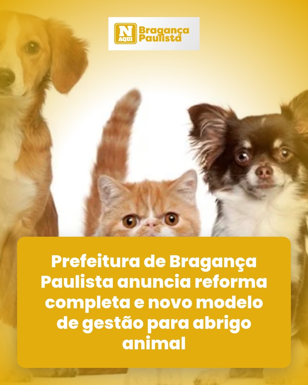 cliente_1-1778270974740.jpg