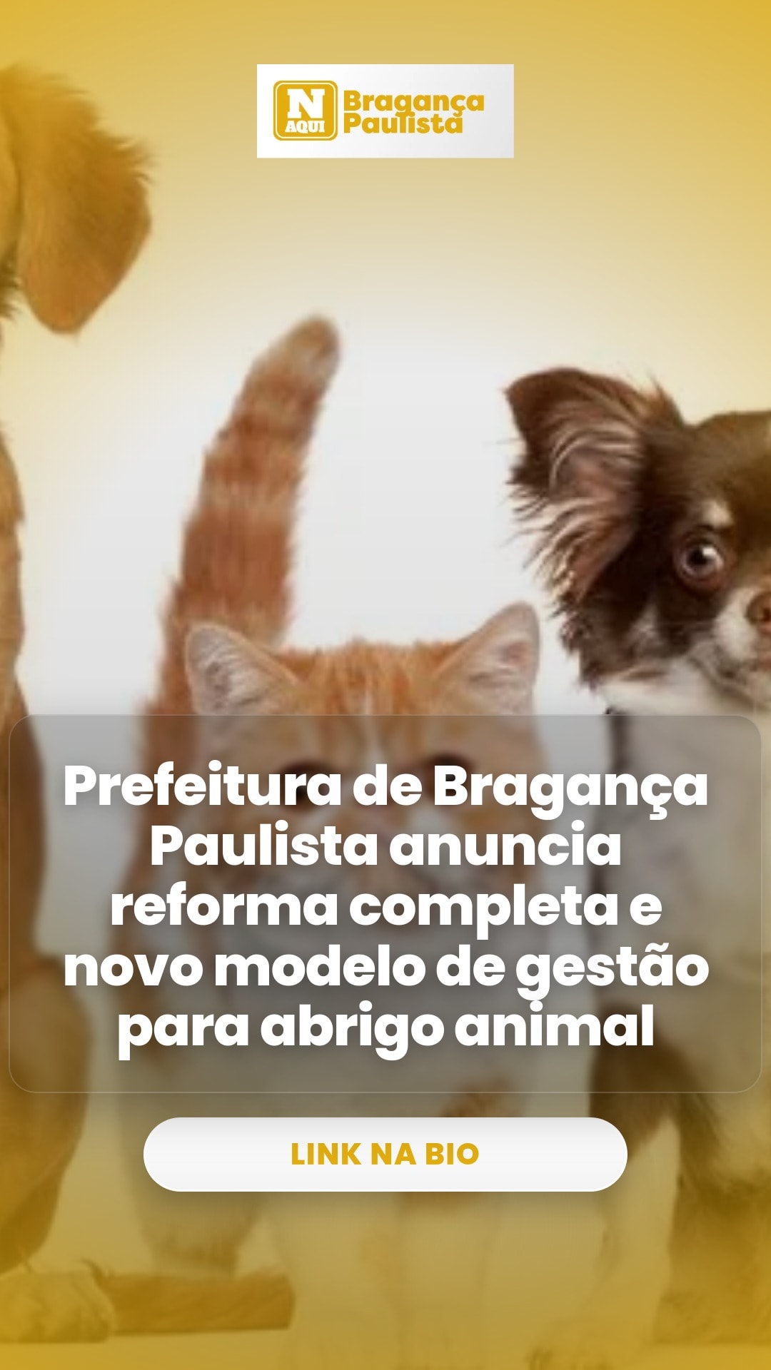 cliente_1-1778270998119.jpg